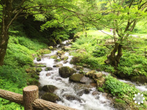 神庭の滝　せせらぎ