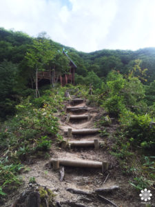 天岩戸　山道