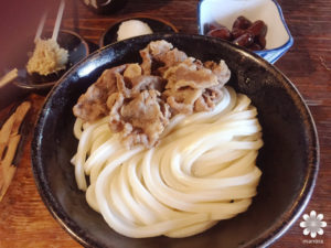 わら家　肉ぶっかけうどん