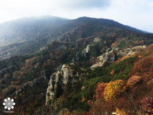 小豆島寒霞渓