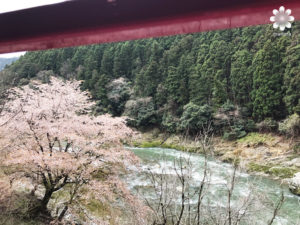 嵐山トロッコ列車