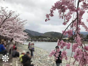 嵐山渡月橋