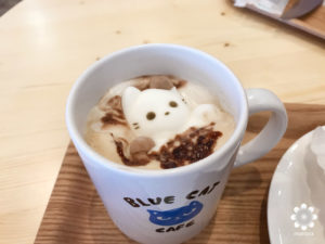 岡山猫カフェBLUE CAT CAFE猫マシュマロ