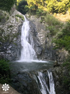 神戸の布引の滝