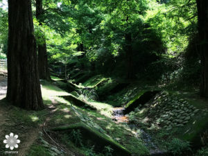 六高山牧場