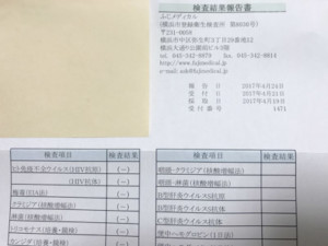 検査報告書